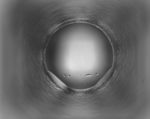 X0000071761169200607071228