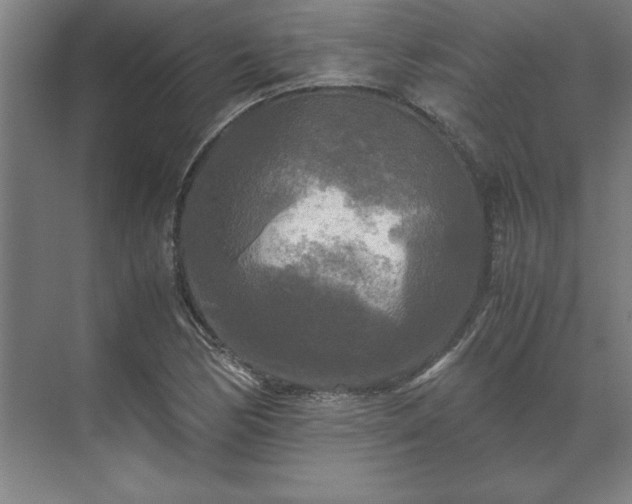 X0000071761170200607071228