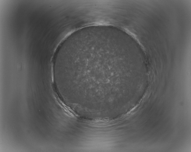 X0000071761171200607071228