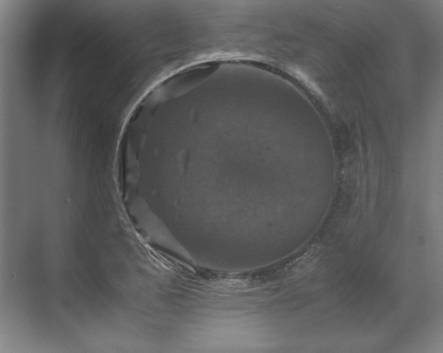 X0000071761173200607071228