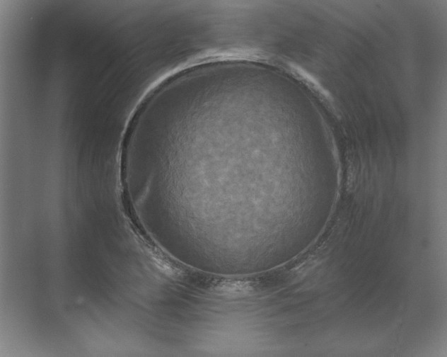 X0000071761174200607071228