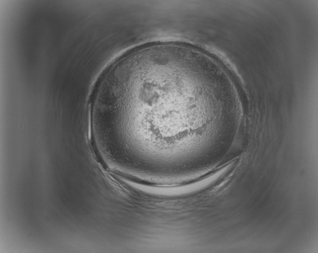 X0000071761175200607071228