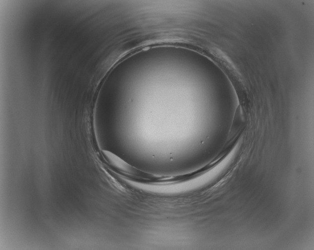 X0000071761177200607071228