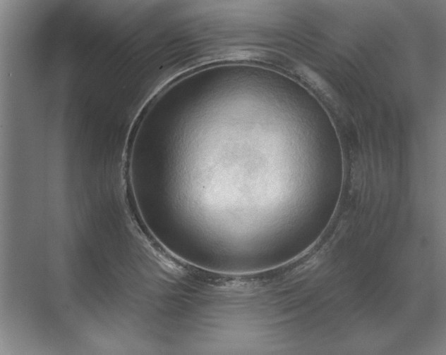 X0000071761178200607071228