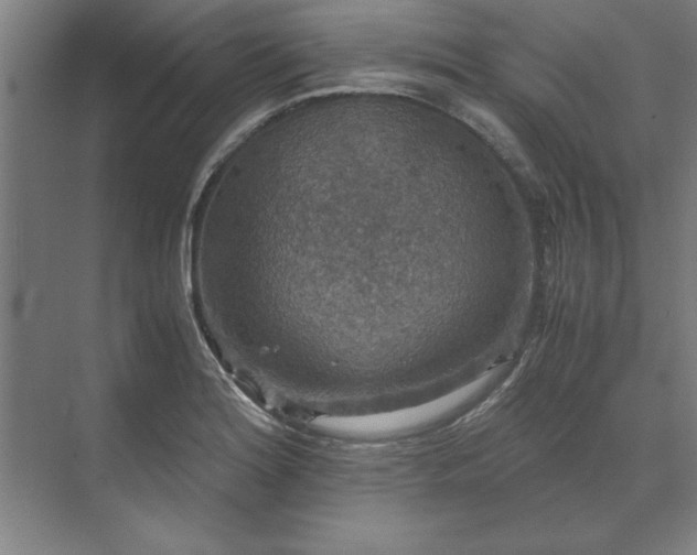 X0000071761180200607071228