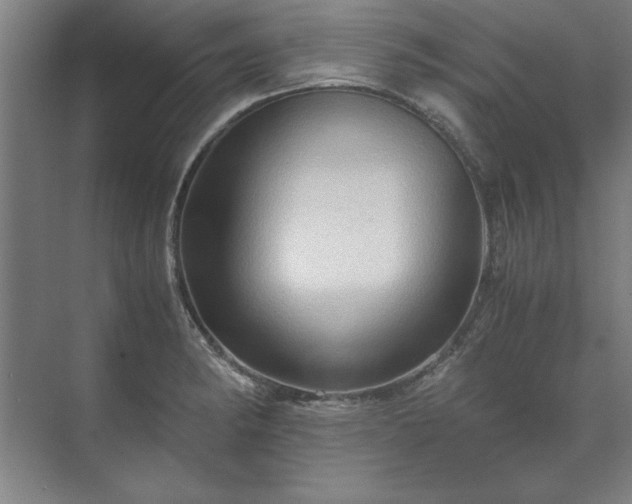 X0000071761182200607071228