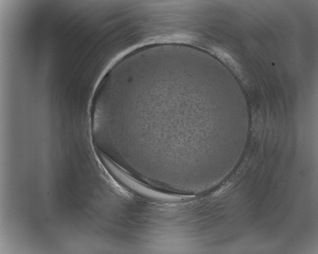 X0000071761184200607071228