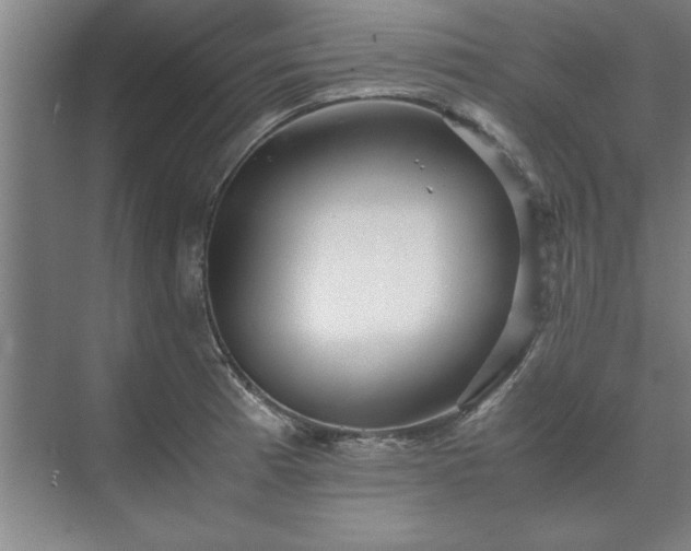 X0000071761185200607071228