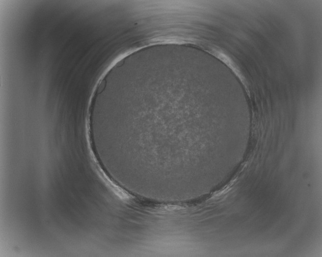 X0000071761187200607071228