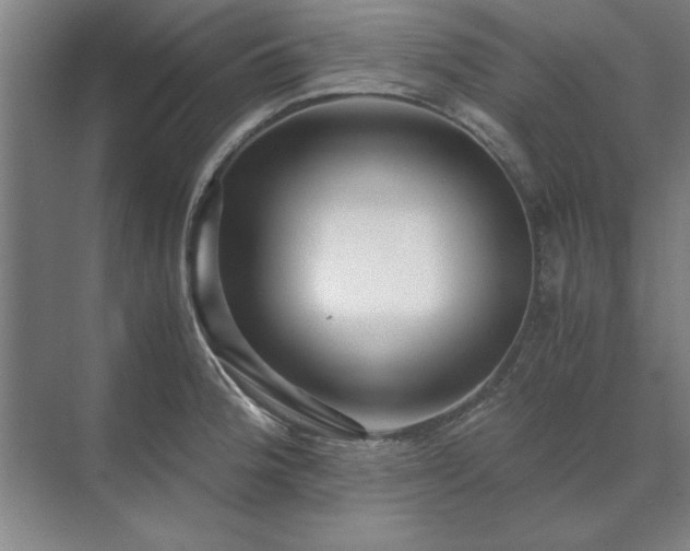 X0000071761188200607071228