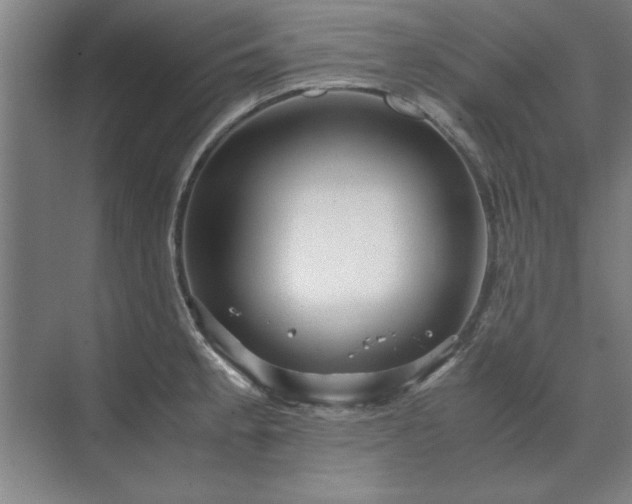 X0000071761189200607071228