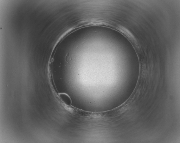 X0000071761190200607071228