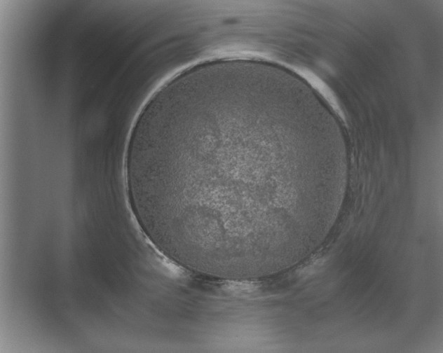 X0000071761191200607071228