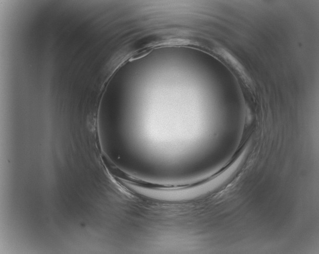 X0000071761193200607071228