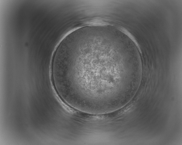 X0000071761195200607071228