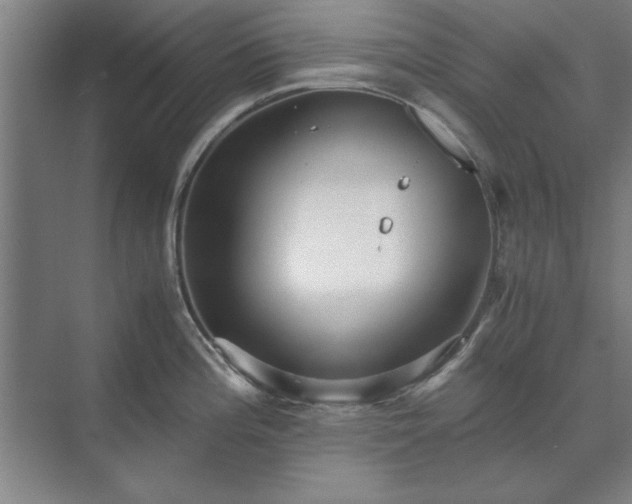 X0000071761196200607071228