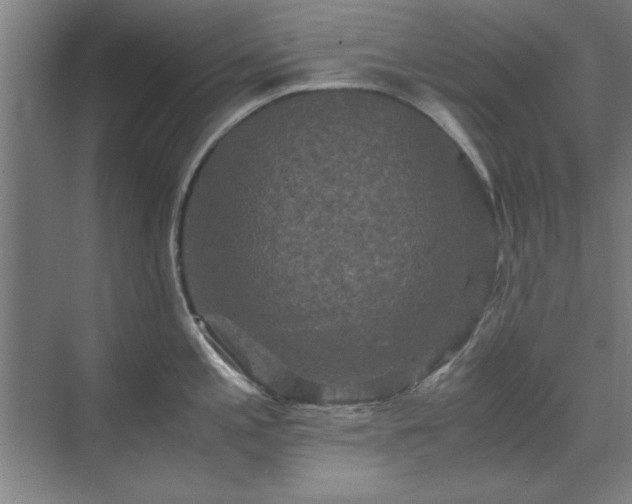 X0000071761197200607071228