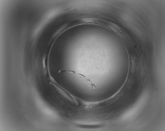 X0000071761198200607071228