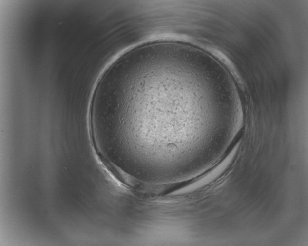 X0000071761199200607071228