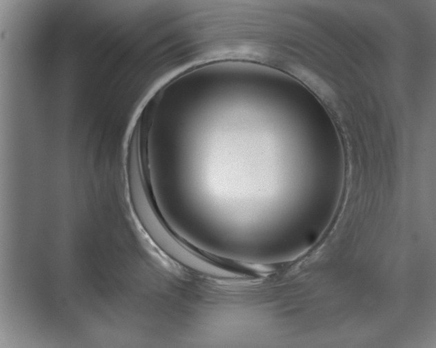 X0000071761200200607071228