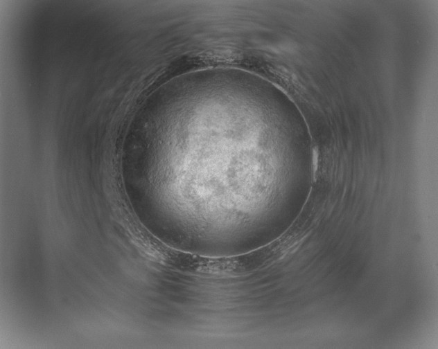 X0000071761201200607071227