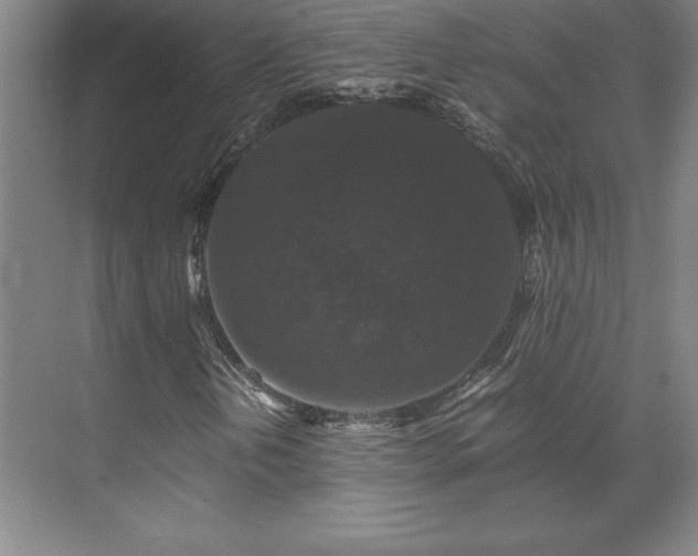 X0000071761202200607071227