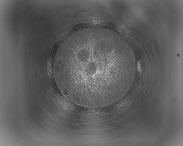 X0000071761203200607071227