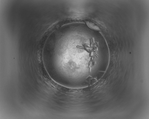 X0000071761205200607071227