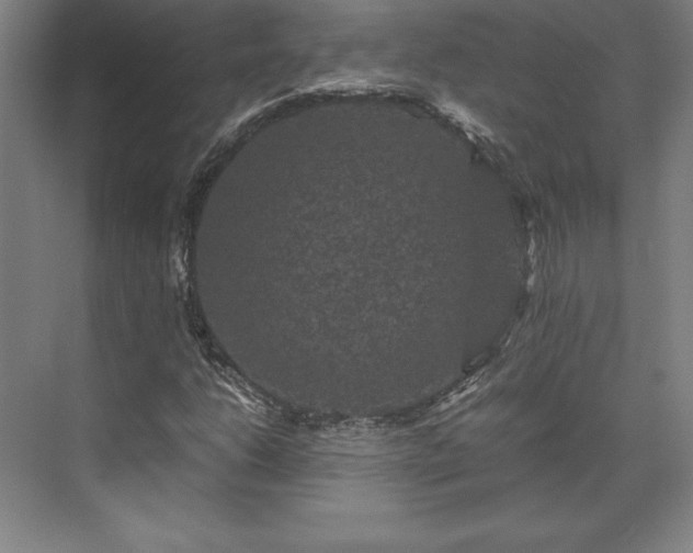 X0000071761206200607071227