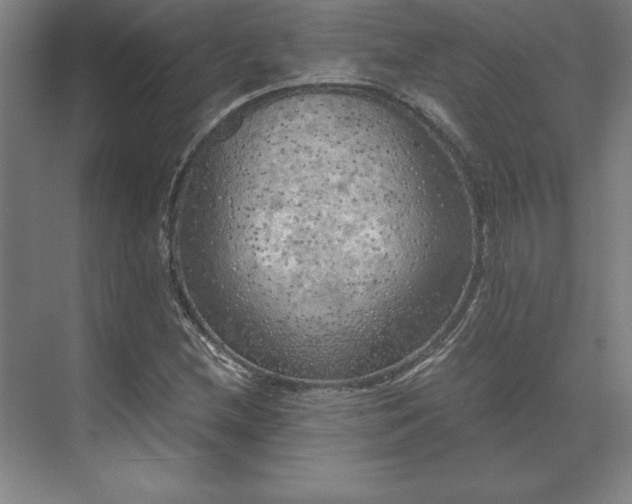 X0000071761212200607071227