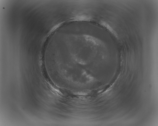 X0000071761213200607071227