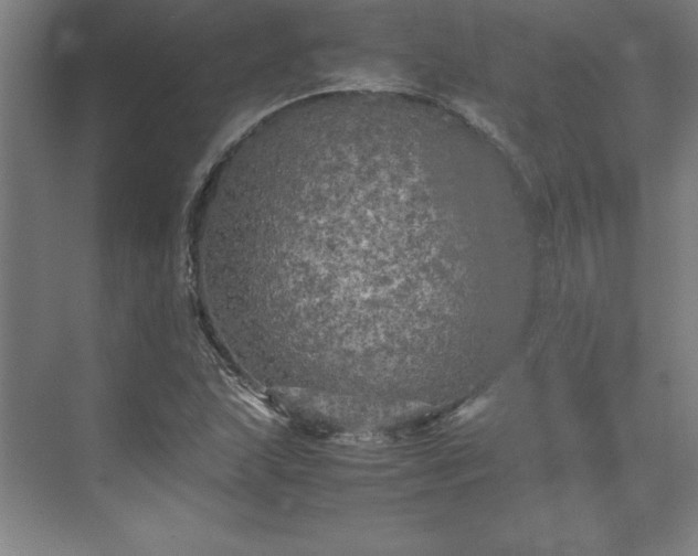 X0000071761215200607071227