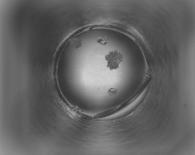 X0000071761216200607071227