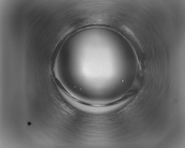 X0000071761218200607071227