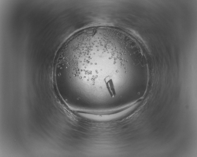 X0000071761220200607071227