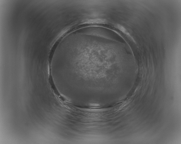 X0000071761221200607071227