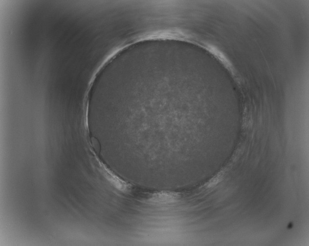 X0000071761224200607071227