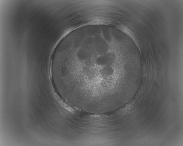 X0000071761227200607071227