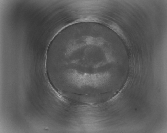 X0000071761228200607071227