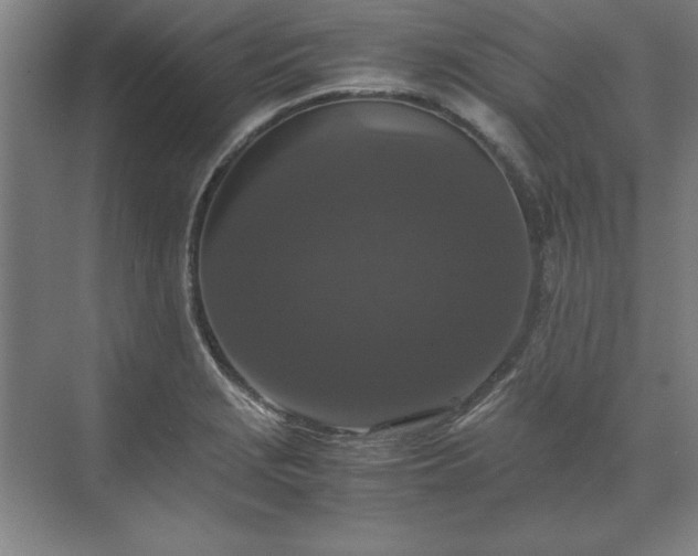 X0000071761229200607071227