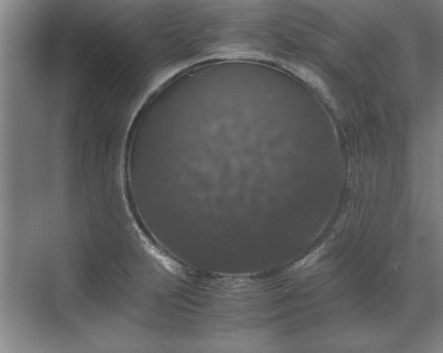 X0000071761231200607071227