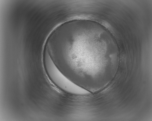 X0000071761232200607071227