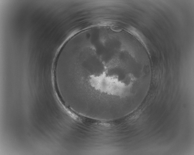 X0000071761235200607071227