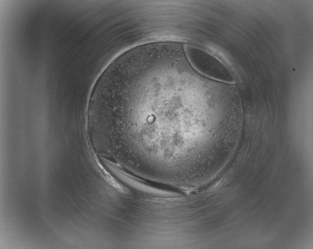 X0000071761236200607071227