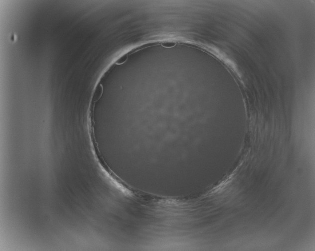 X0000071761239200607071227