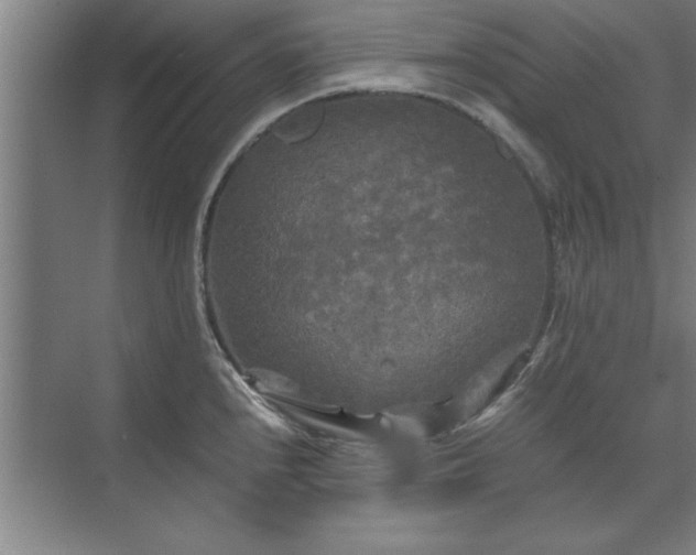 X0000071761240200607071227