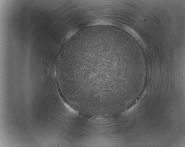 X0000071761241200607071227