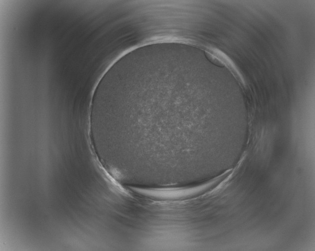 X0000071761244200607071228