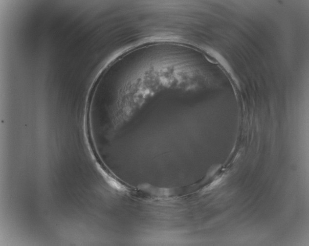 X0000071761245200607071228