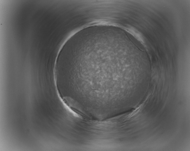 X0000071761247200607071228